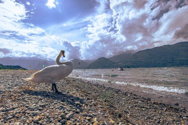İtalya 'nın Como Gölü' ndeki Bellano kasabasının manzarası.