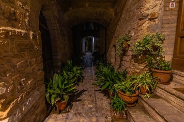 İtalya 'nın Umbria kentindeki ortaçağ şehri Spello' nun gece manzarası