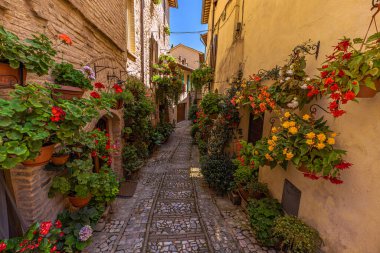 İtalya 'nın Umbria kentindeki ortaçağ şehri Spello' nun sokak manzarası