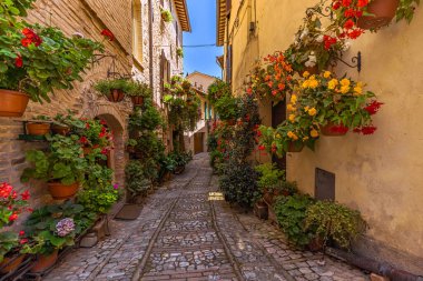 İtalya 'nın Umbria kentindeki ortaçağ şehri Spello' nun sokak manzarası