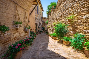 İtalya 'nın Umbria kentindeki ortaçağ şehri Spello' nun sokak manzarası