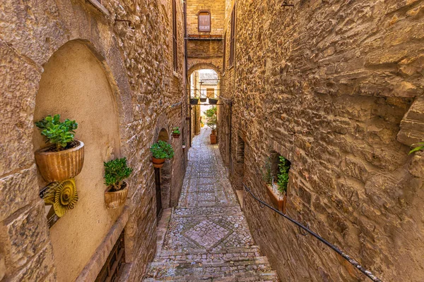 Street View Középkori Város Spello Umbria Olaszország — Stock Fotó