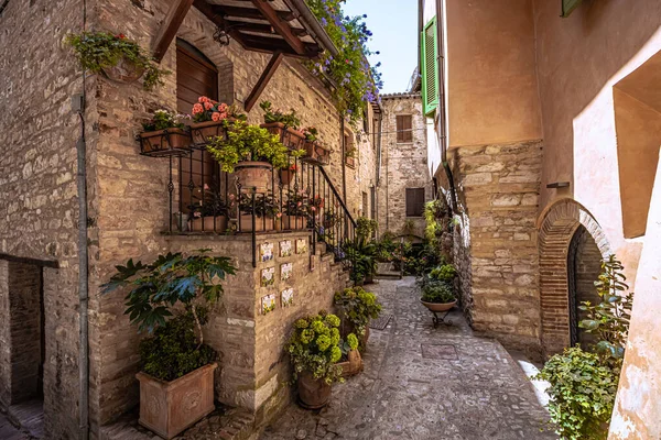意大利翁布里亚中世纪小镇Spello的街景 — 图库照片