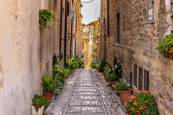 Street View Középkori Város Spello Umbria Olaszország — Stock Fotó