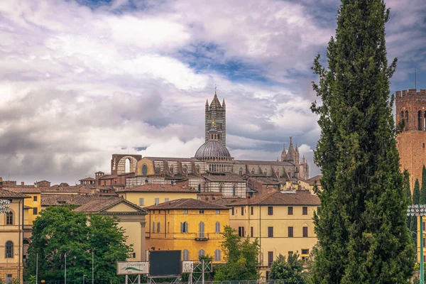 Katedra Średniowiecznego Miasta Siena Toskanii Włochy — Zdjęcie stockowe