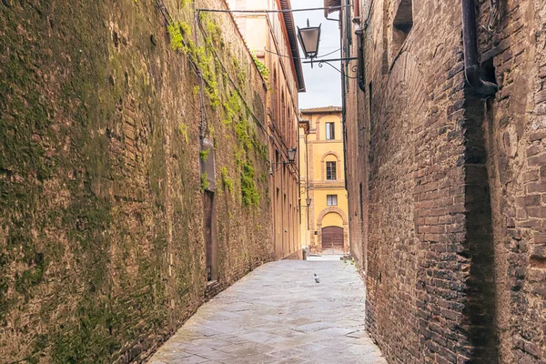 Street View Medieval City Siena Tuscany Italy — Stock Photo, Image