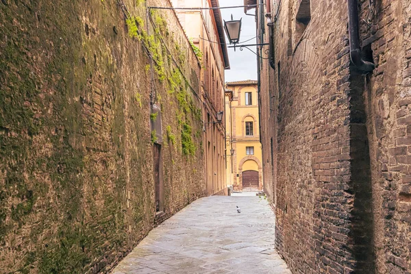 İtalya 'nın Toskana kentindeki ortaçağ şehri Siena' nın sokak manzarası