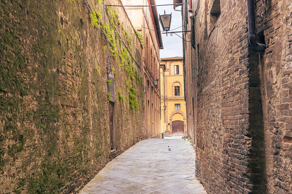 Street View of the medieval city of Siena in Tuscany, Italy