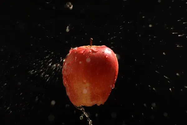 Jablko lahodný — Stock fotografie