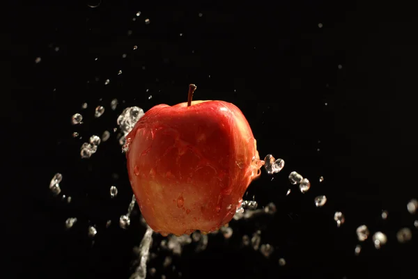 Manzana deliciosa —  Fotos de Stock