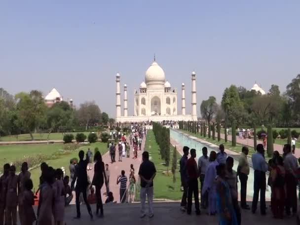 Taj : The Wonder of the World — Stock Video