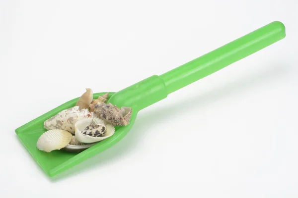 Green Shovel toy and shells — Stock Photo, Image