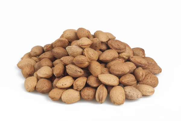 Almond shell — Stock Photo, Image
