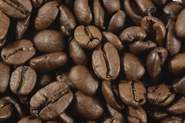 Granos de café, de cerca — Foto de Stock