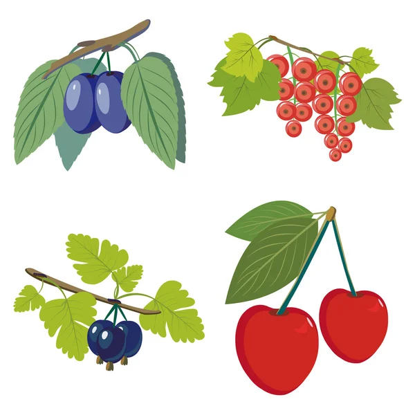 Berries set — Stock Vector