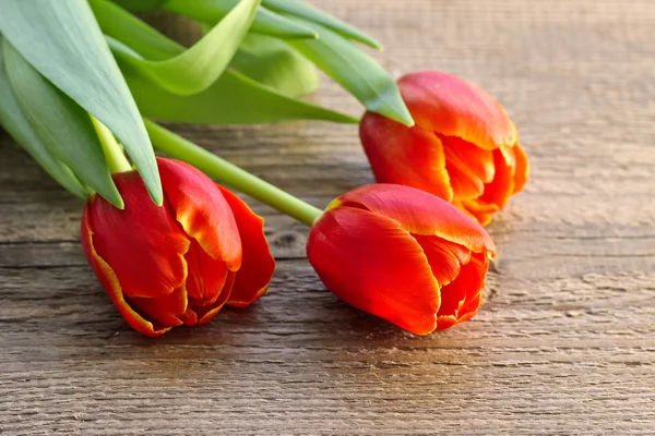 Red tulips on wooden background — Stock Photo, Image