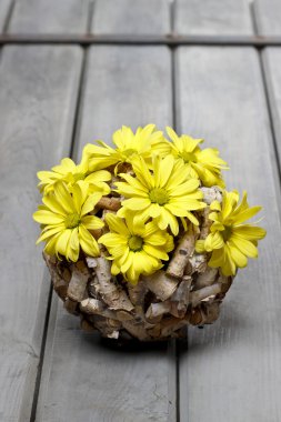 çiçek bahar kompozisyon