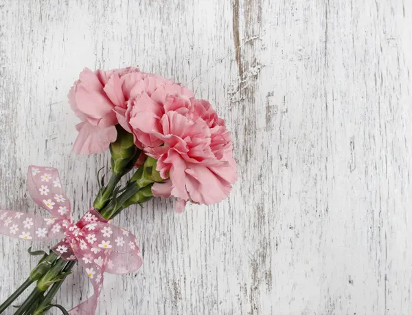 Roze anjer bloem op witte achtergrond — Stockfoto