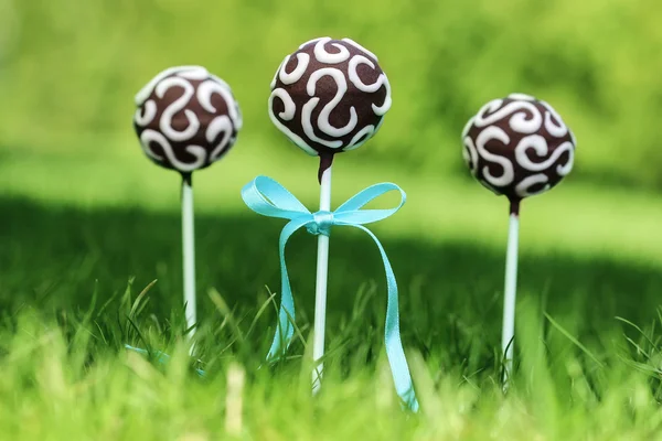Bolo de chocolate aparece na grama verde fresca em um belo jardim . — Fotografia de Stock