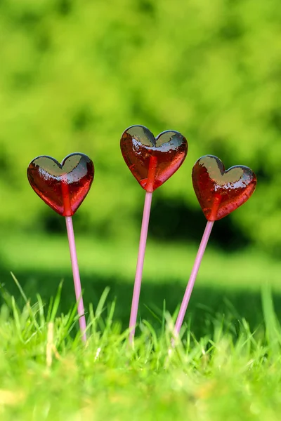 Czerwone lizaki w kształcie serca, na świeżej zielonej trawie, w ogrodach — Zdjęcie stockowe