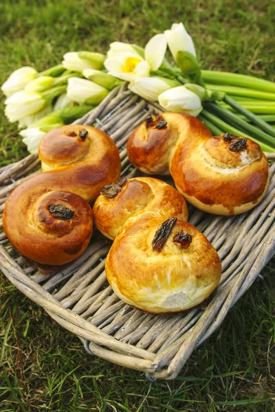 Petits pains traditionnels suédois. Un chignon de safran, en lussebulle suédoise — Photo