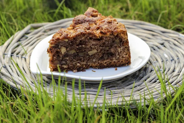 Festa de jardim. Bolo de chocolate na bandeja de vime — Fotografia de Stock