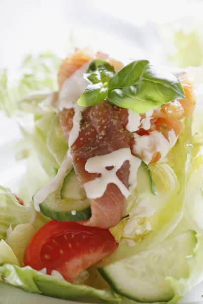 自制酱汁三文鱼的新鲜沙拉 — 图库照片
