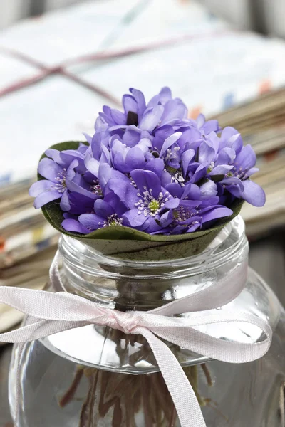 Hepatica blommor, ganska liten bukett i en vas. — Stockfoto