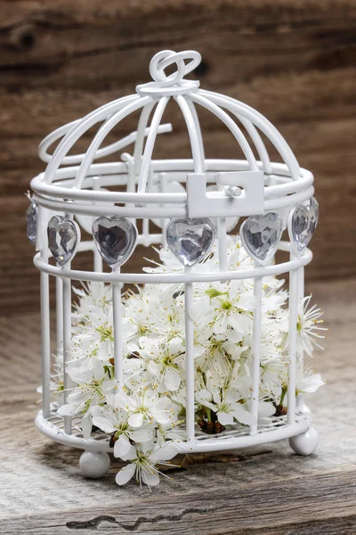 Cage à oiseaux avec des fleurs à l'intérieur sur fond de bois rustique — Photo