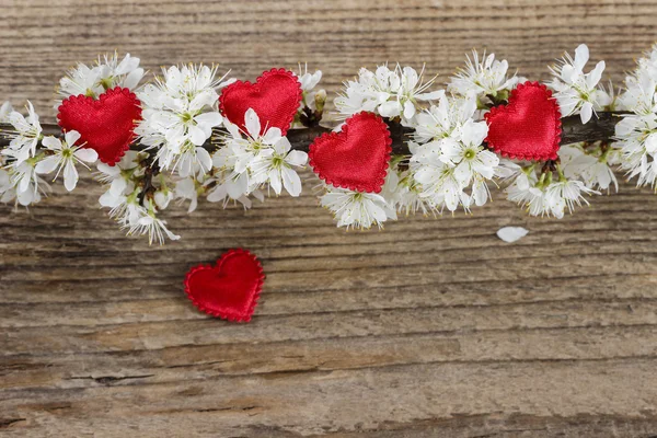 Small red hearts among cherry blossom on wooden background — Stock Photo, Image
