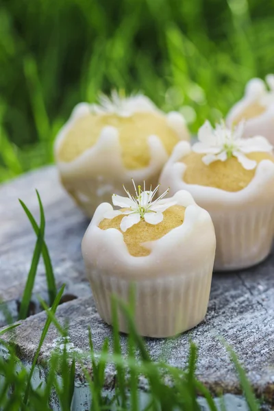 Cakes on wooden tray on fresh, green grass. — Stock Photo, Image