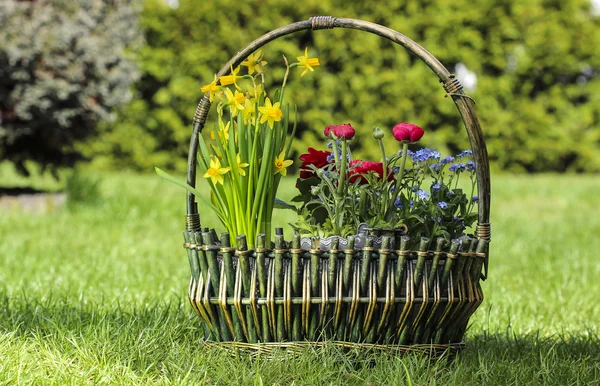 Riesiger Korb voller bunter Blumen im Garten — Stockfoto