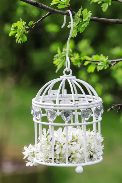 Klec s květinami uvnitř, visící na větvi — Stock fotografie
