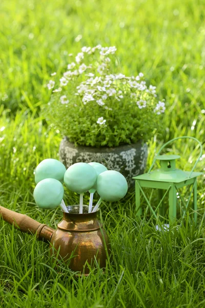 Cake Pops auf grünem Gras im Frühlingsgarten an sonnigem Tag — Stockfoto