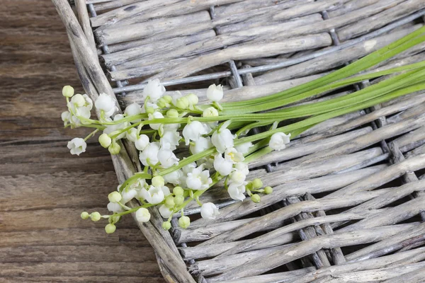 Lilly of the valley flowers on wicker tray. — Stock Photo, Image