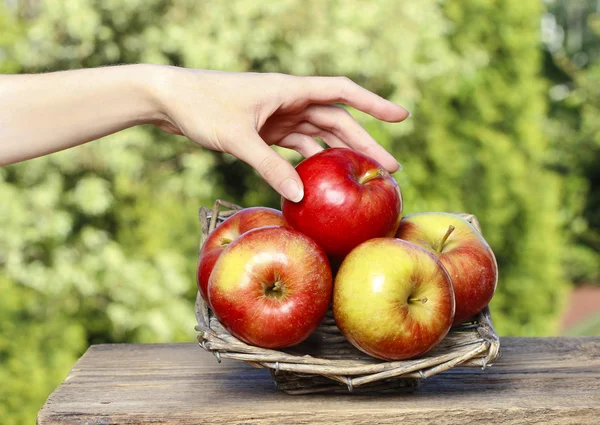 Basket of red ripe apples on a wooden table in the garden — Stock Photo, Image