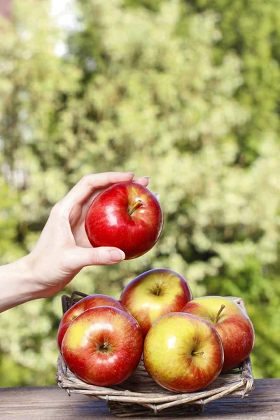 Cesta de manzanas rojas maduras sobre una mesa de madera en el jardín — Foto de Stock