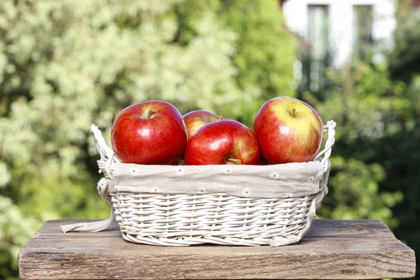 Basket of red ripe apples on a wooden table in the garden. — Stock Photo, Image