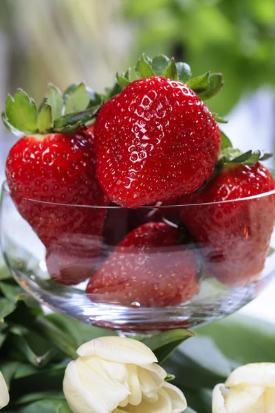 Goblet of fresh ripe strawberries among white tulips. — Stock Photo, Image