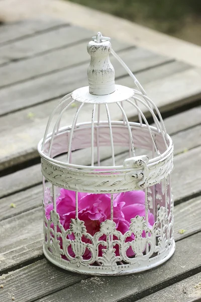 Birdcage with pink flowers inside on rustic wooden table — Stock Photo, Image