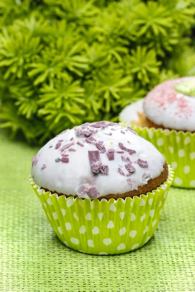 Groene cupcakes — Stockfoto