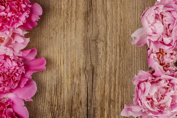 Stunning peonies on wooden background — Stock Photo, Image