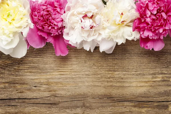 Impresionantes peonías sobre fondo de madera —  Fotos de Stock