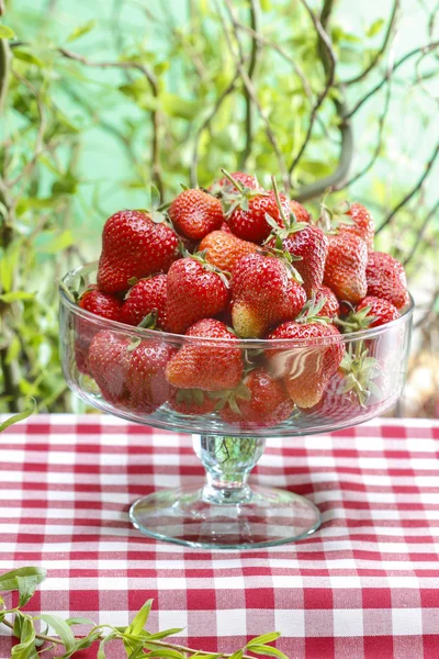 Glazen kom van aardbeien in de tuin. — Stockfoto