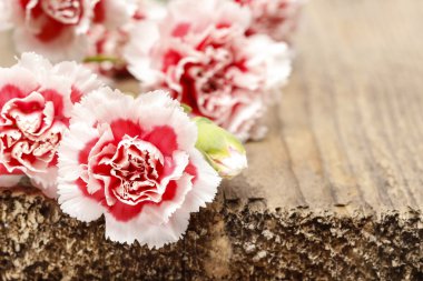 ahşap arka plan üzerinde kırmızı ve beyaz Karanfil çiçek