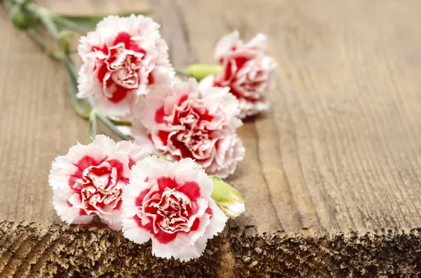 木製の背景に赤と白のカーネーションの花 — ストック写真
