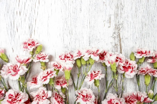 Cravos cor-de-rosa isolados sobre fundo de madeira — Fotografia de Stock