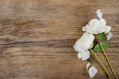 ahşap zemin üzerinde beyaz peonies. kopya alanı.
