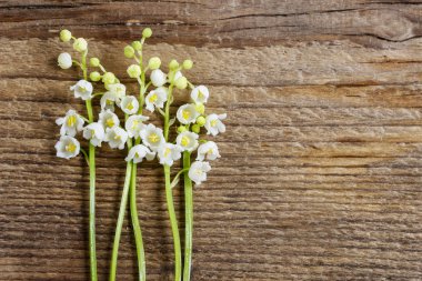 Lilly ahşap zemin üzerinde Vadisi çiçek.