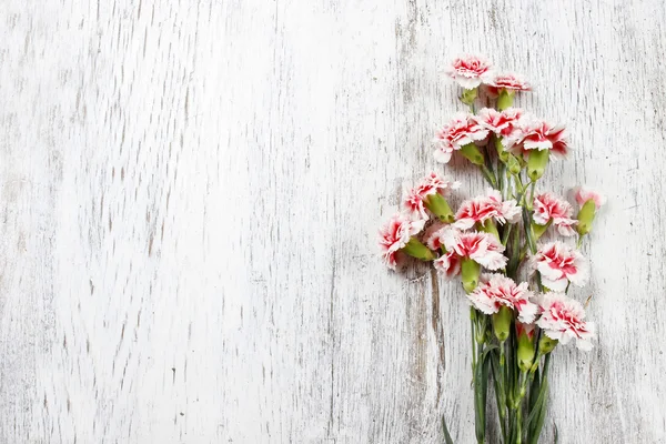 Pink carnations isolated on wooden background — Stock Photo, Image